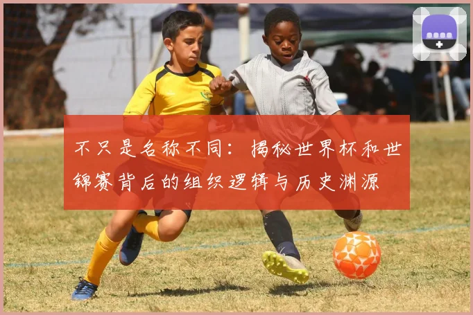 不只是名称不同：揭秘世界杯和世锦赛背后的组织逻辑与历史渊源